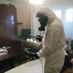Дезинфекция от клопов в Чебоксарах