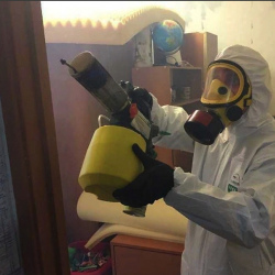 Уничтожение клопов в квартире. Чебоксары